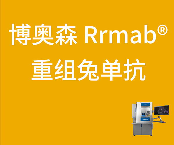 內參抗體